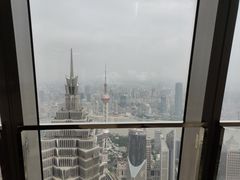 -上海柏悦酒店