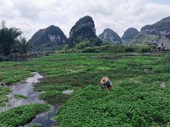 -靖西鹅泉风景区