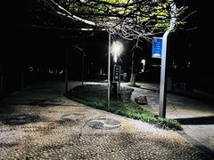 -西安市长乐公园