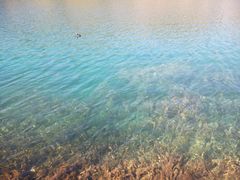 -丽江泸沽湖景区-里格半岛