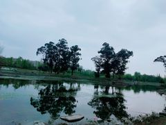 -两河城市森林公园