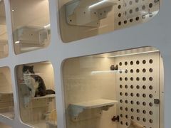 -comecome来吧宠物(奥克斯中心店)