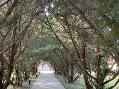 -洛阳古墓博物馆