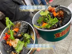 -董顺桃小粒臭豆腐(太平街一店)
