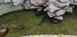 -宝生月子中心(独栋园林·福田店)