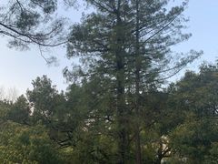 -杭州花家山庄