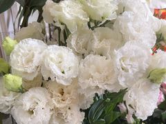 -FEI FEI FLOWER鲜花店·气球派对·宝宝宴布置(虹口德必运动Loft店)