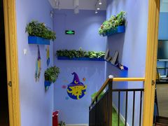 -I-Shine英语国际教育(大三林中心)