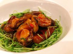 -青雅中餐厅(大连金石滩绿发希尔顿度假酒店)