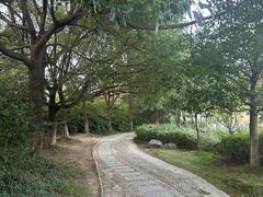 -白马涧龙池景区