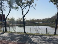 -上海长兴岛郊野公园