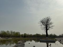 -中国唐山地震博物馆