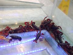 -川骄海鲜自助(河东店)