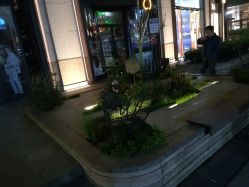 -祖·玛珑