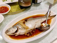 破布子午鱼-光头匠