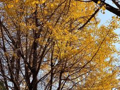 -上海不夜城广场(上海不夜城金融大厦店)