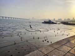 -星海广场