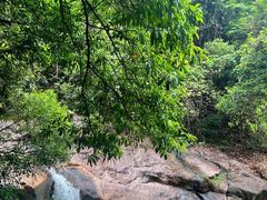 -广州白江湖森林公园