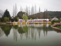 -苏州上方山国家森林公园
