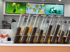 -雾与山茶(大禹城店)