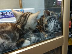 -乐宠宠物店(世纪金源店)