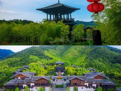 -大唐贡茶院