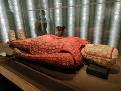 -上海中国航海博物馆