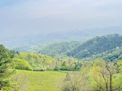 -敬亭山风景名胜区