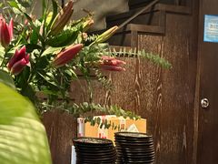 -Apollo·西班牙小酒馆(安福路店)