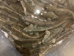 -健眺小海鲜(临海后山店)