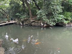 -兰亭风景区