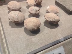 -烟台市博物馆