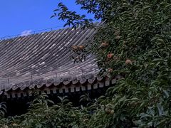 -颐和园