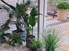 -风甜日暖·星座主题甜点(东二环泰禾店)