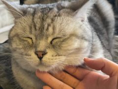 -平行世界·猫咖(首经贸店)