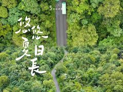 -普洱太阳河森林公园