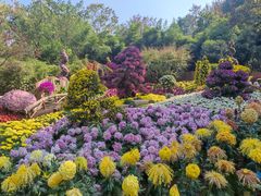 -杭州植物园