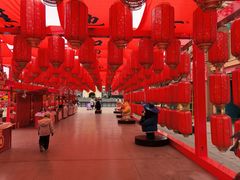 -青岛方特梦幻王国