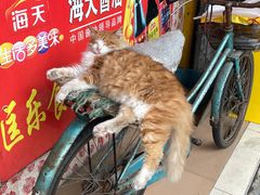 -喜势点·糖沙翁手工茶点·本地人茶居(永庆坊店)