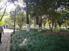 -瀛洲公园