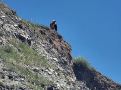 -比如骷髅墙景区