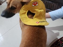 -瑞虹新天地月亮湾