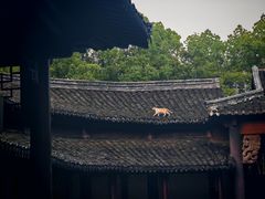 -乌镇枕水度假酒店