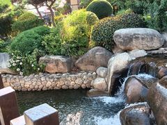 -诗经里