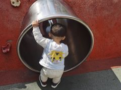 -金鸡山公园