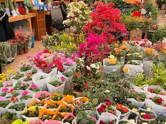 -双季花艺园艺市场(浦东店)