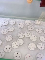 -AI艾耳·专业手工耳洞·穿孔美学馆