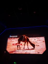 -飞览天下沉浸式飞行体验(北京旗舰店)