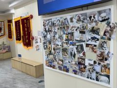 -芭比堂动物医院·24小时·眼科中心(深圳中心)