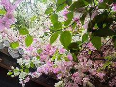 -深圳国际园林花卉博览园